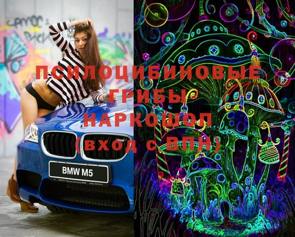 бутират Каменка