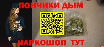 сатива Моздок