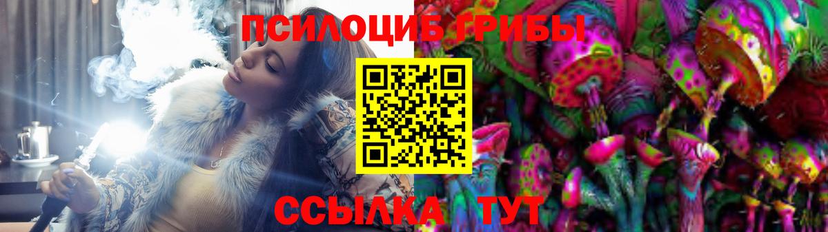 Соль-Илецк  Псилоцибиновые грибы мицелий  Вход с VPN  Псилоцибиновые грибы GOLDEN TEACHER 